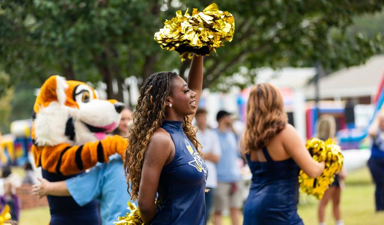 Cheerleaders in yellow and blue uniforms with pom-poms, performing outdoors.